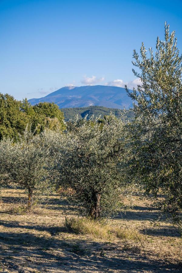 La Sainte-Croix: Traditional Provencal Retreat with Pool Vaison-la-Romaine Exterior photo