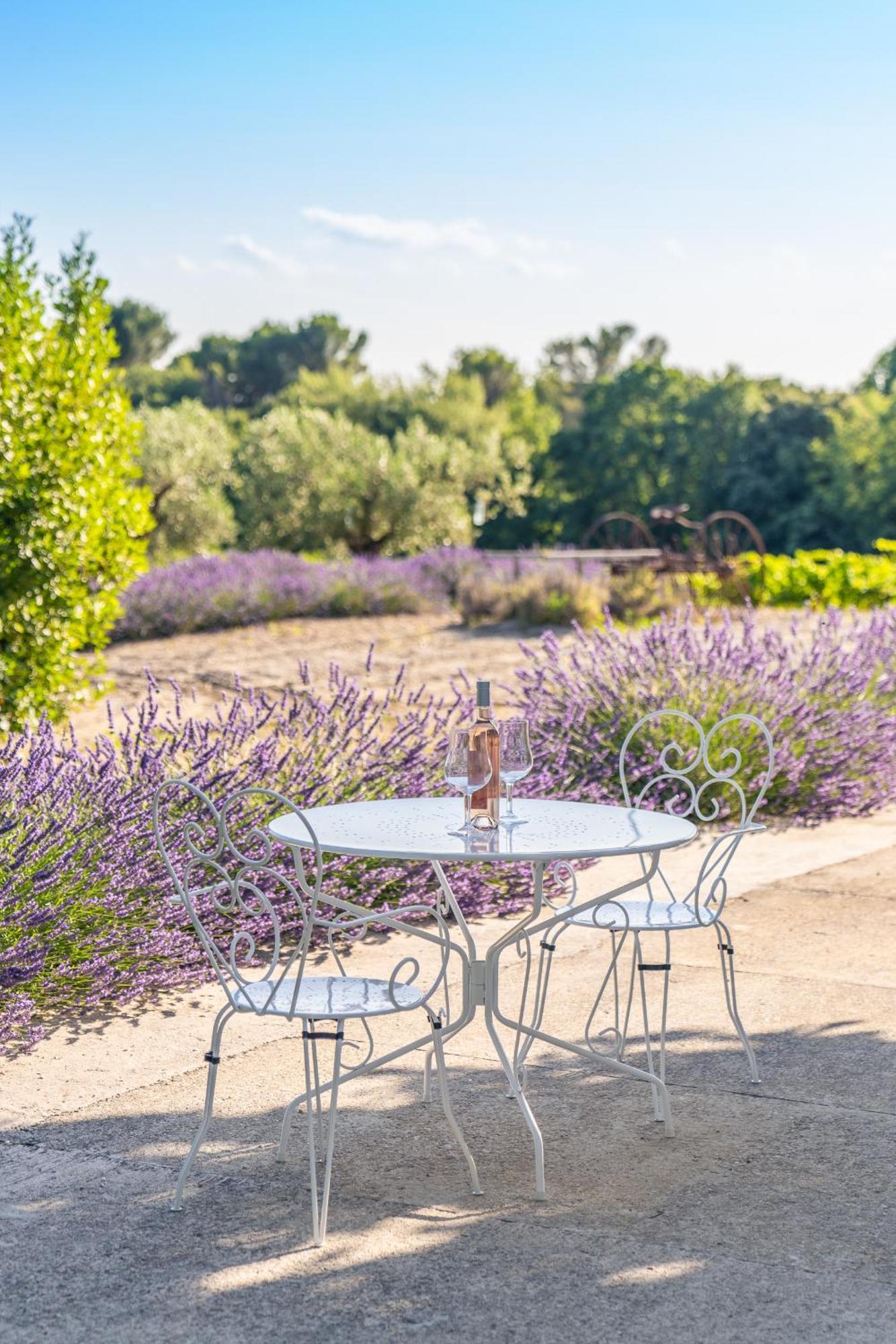 La Sainte-Croix: Traditional Provencal Retreat with Pool Vaison-la-Romaine Exterior photo