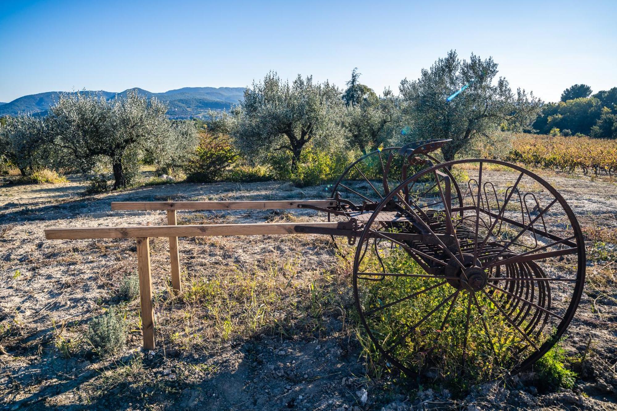 La Sainte-Croix: Traditional Provencal Retreat with Pool Vaison-la-Romaine Exterior photo